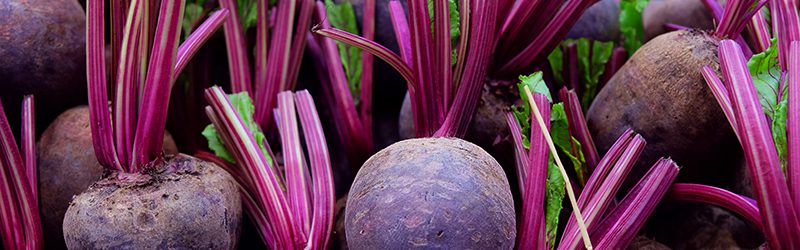 Beet Market Summary
