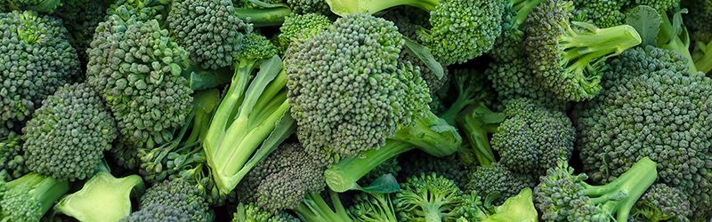 Broccoli Market Summary