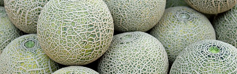 Cantaloupe Market Summary