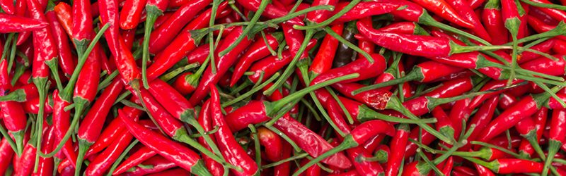 Chile Pepper Market Summary