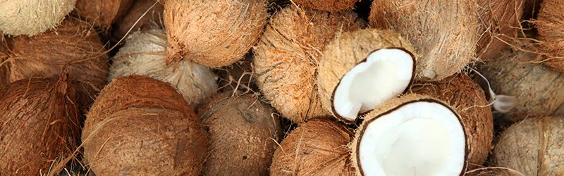 Coconut Market Summary