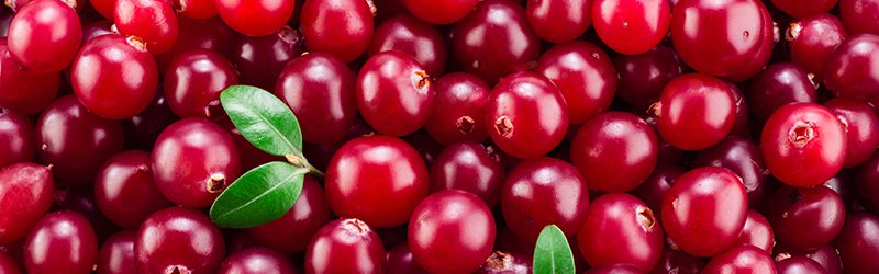 Cranberry Market Summary