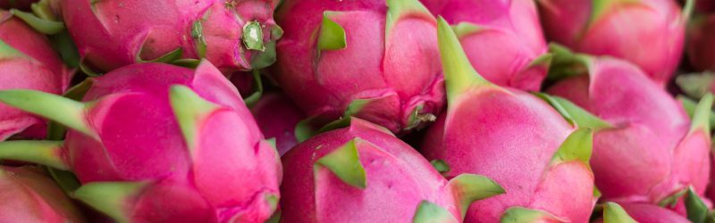Dragon Fruit Market Summary