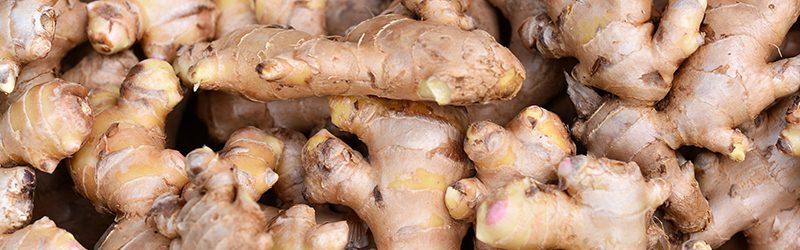 Ginger Root Market Summary