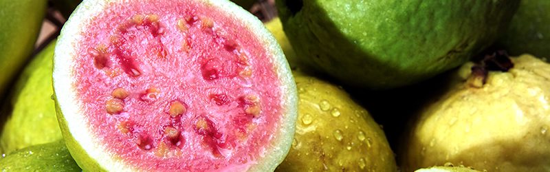 Guava Market Summary