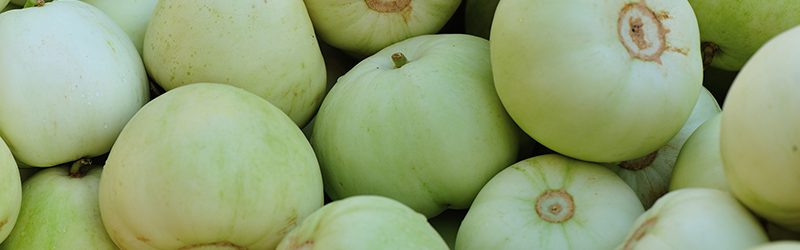 Honeydew Melon Market Summary
