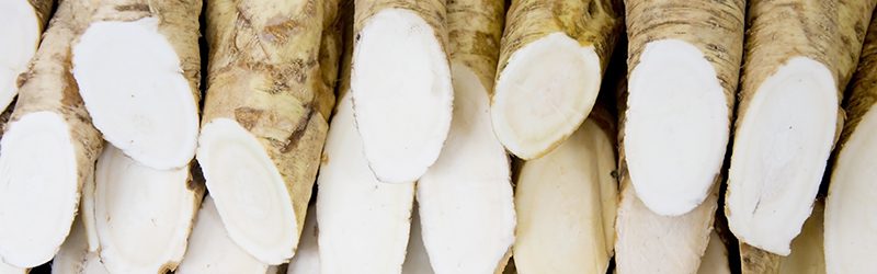 Horseradish Root Market Summary
