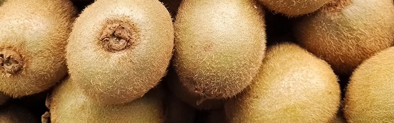 Kiwifruit Market Summary