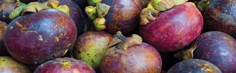 Mangosteen Market Summary
