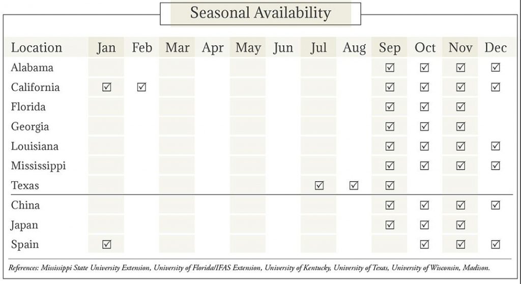 Persimmons Seasonal Availability Chart