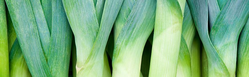 Leeks Market Summary