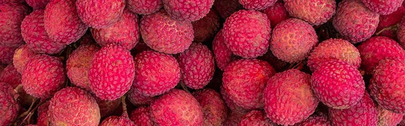 Lychee Market Summary