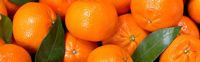 Mandarin, Clementine & Tangerine Market Summary