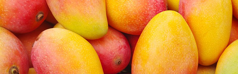 Mango Market Summary