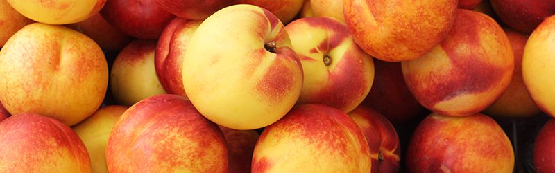 Nectarine Market Summary