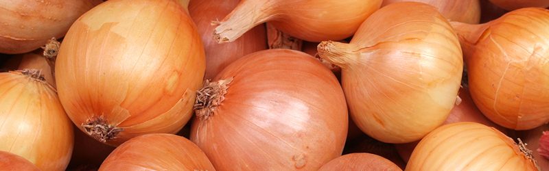 Onion Market Summary