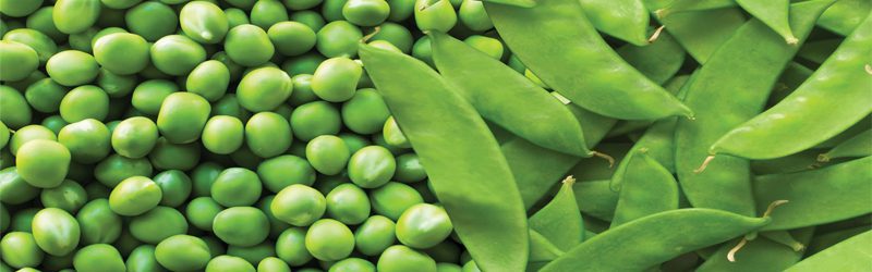 Peas & Snow Peas Market Summary