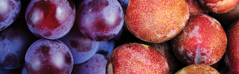 Plum & Pluot Market Summary