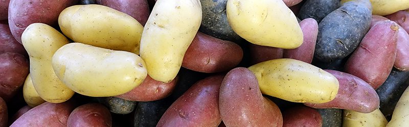 Potato Market Summary