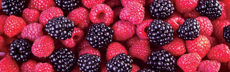 Raspberry & Blackberry Market Summary