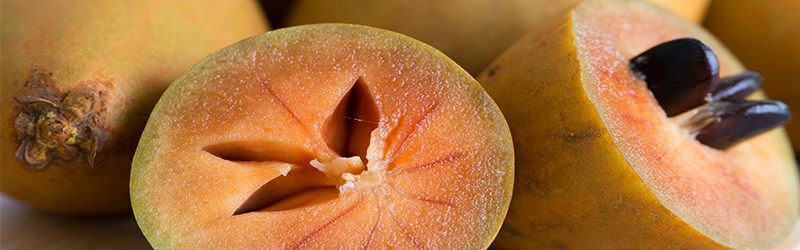Sapodilla Market Summary