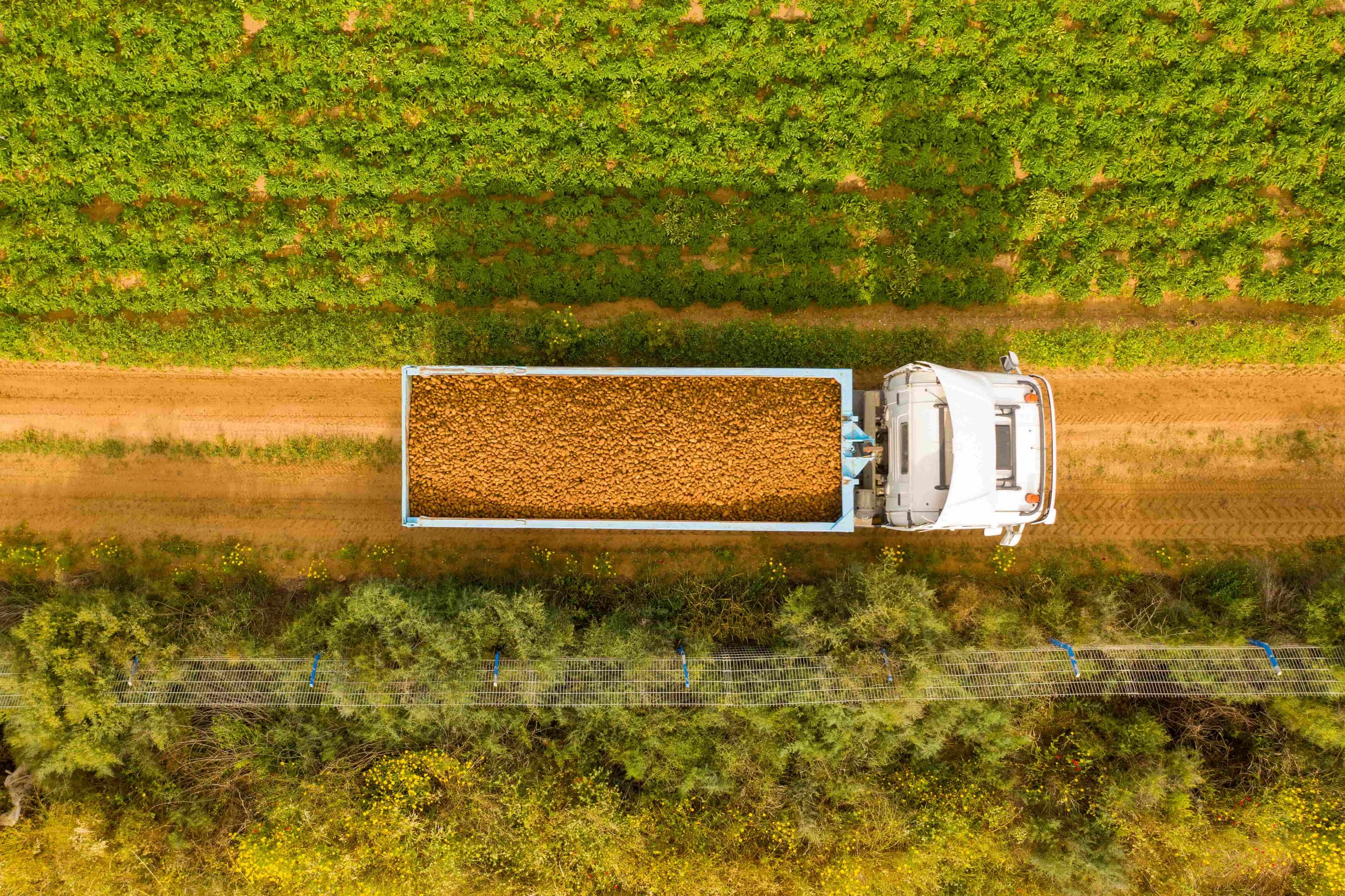 Blue Book’s Tools are Necessary for Farmers Potato Distributing to Evaluate Potential Partners
