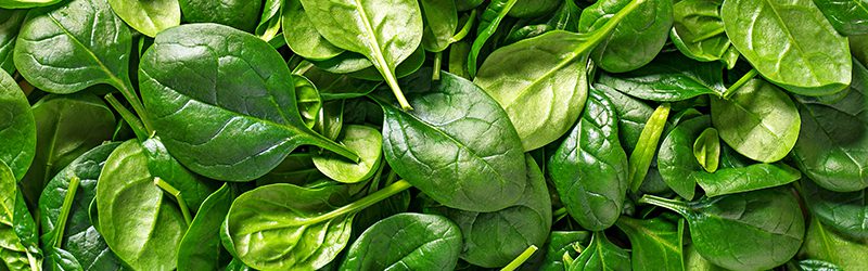 Spinach Market Summary