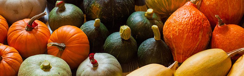 Squash Market Summary