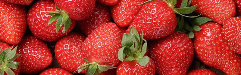 Strawberry Market Summary