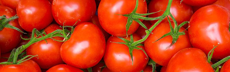 Tomato Market Summary