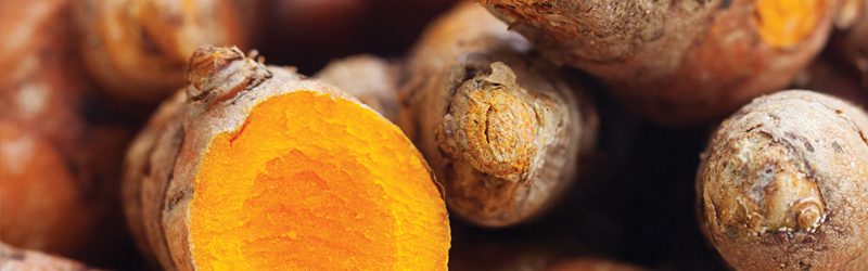 Turmeric Market Summary