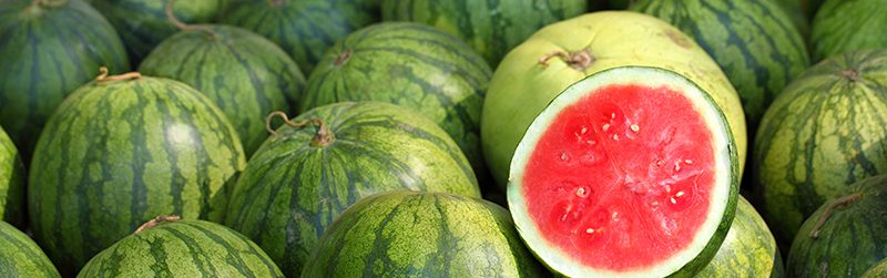 Watermelon Market Summary