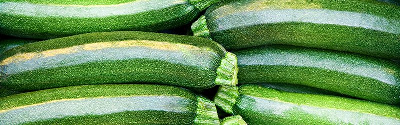 Zucchini Market Summary