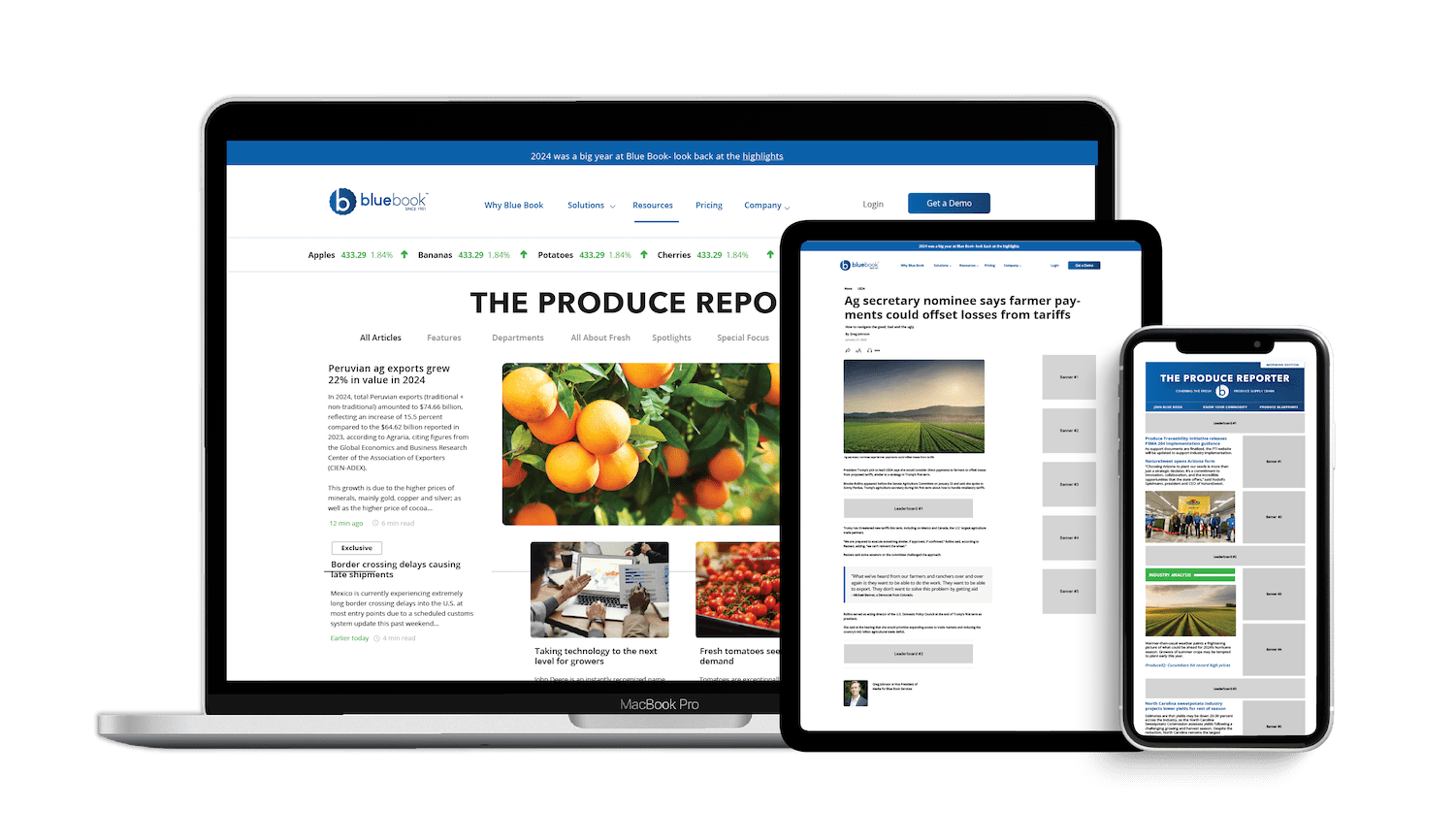 Blue Book Advertising-26-min
