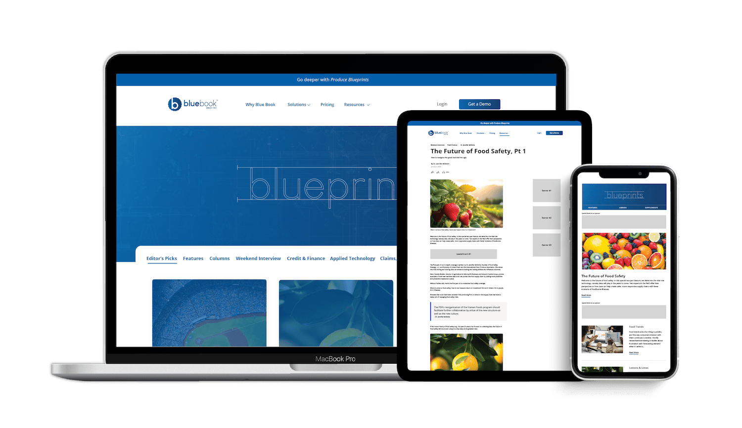 Blue Book Advertising-27-min