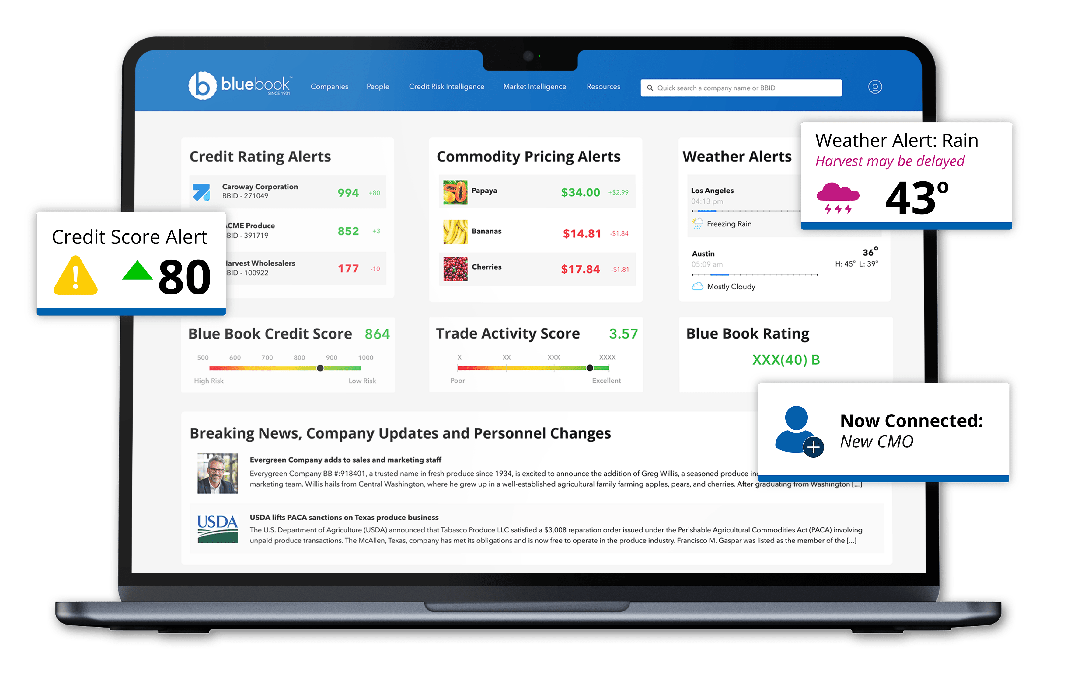Blue Book Homepage BBOS Mockup